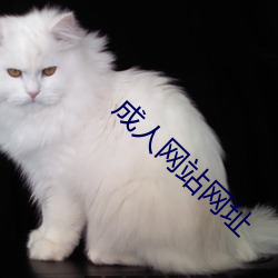 成人网(wǎng)站网址
