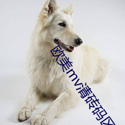 歐美mv清磚碼區免費