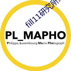 fill11研究所綠色