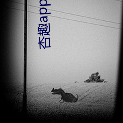 杏趣app蘋果版