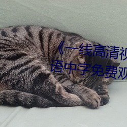 《一線高清視頻在線觀看》BD國語中字免費觀看視頻