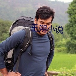 王朔小说