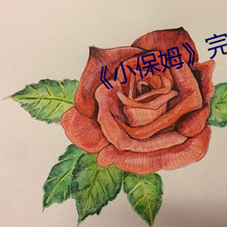 《小(小)保姆》完整版