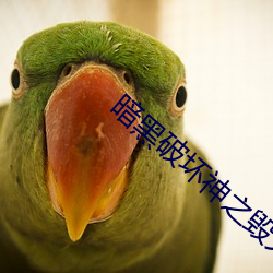 暗黑破坏神之毁灭