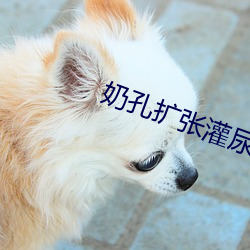 奶孔擴張灌尿