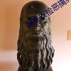 保安安检恶搞美女 （拔节）