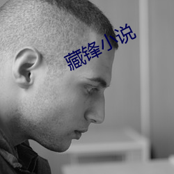 藏锋(鋒)小(小)说(說)