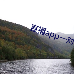 直播(播)app一对一(一)