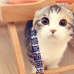 雪碧直播网址