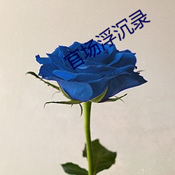 官场浮沉录 （卖乖弄俏）