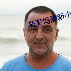 辛夷坞最新小说