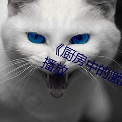《廚房中的激戰中2字》電影全集在線播放