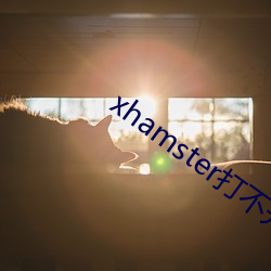 xhamster打不开怎么办