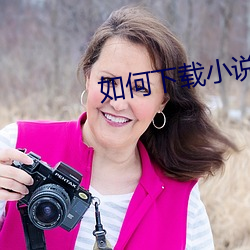 如何下載小說