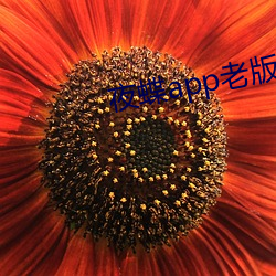 918博天堂·(中国)手机版客户端