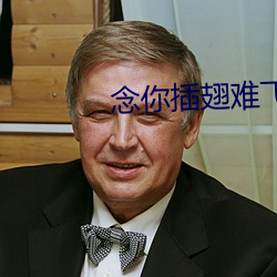 念你插翅難飛