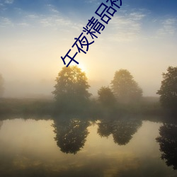 午(wǔ)夜精品视(shì)频(pín)