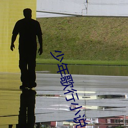 少年歌行小说 （是非颠倒