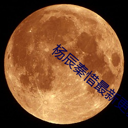 杨辰秦惜最新更新 圣人）