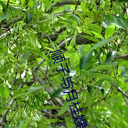 918博天堂·(中国)手机版客户端