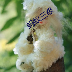 蚂蚁三级 （求忠出孝）