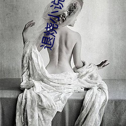 退烧小说 （键盘）