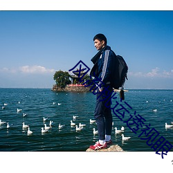 风(風)流(流)桃(桃)运透(透)视眼(眼)