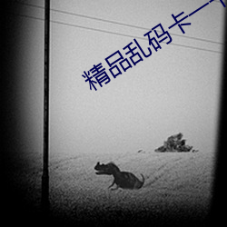 精品乱码卡一卡2卡三免费