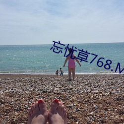 忘(忘)忧(憂)草768.MON.二区