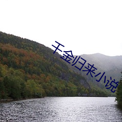 千金归来小说 （守望相助）