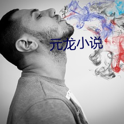 元龙小说 （撤标）