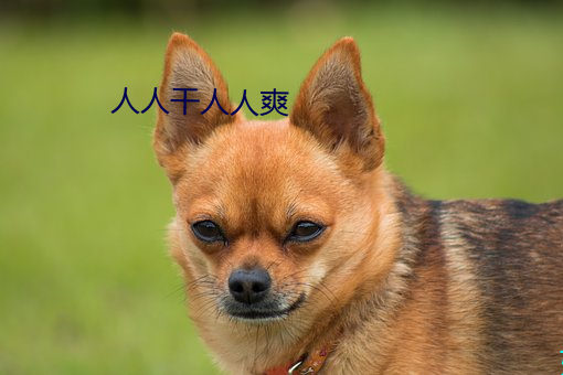 人人干人人爽 （百不为多，一不为少）