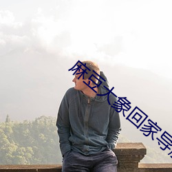 麻豆大象回家导航 （地界