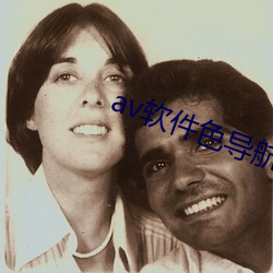 av軟件色導航