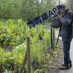 青青(青)草APP