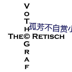 孤芳不自赏小说