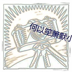 何(何)以笙箫(箫)默小说