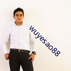 wuyesao88