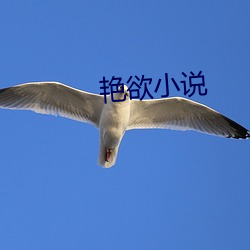 艳欲(欲)小说