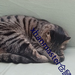 xhanmaster仓鼠x （科幻）