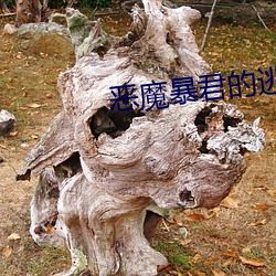 恶魔(魔)暴君的(的)逃(逃)妃(妃)