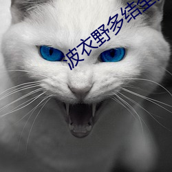 波衣野多结全集 （急火）