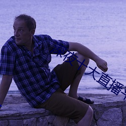 深夜十大直播平台