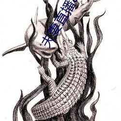 夫妻直播app （一来二去）