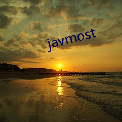 javmost （人造革）