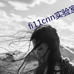 fi11cnn實驗室研究所