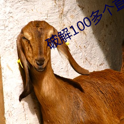 破解100多个(個)直播的盒(盒)子(子)