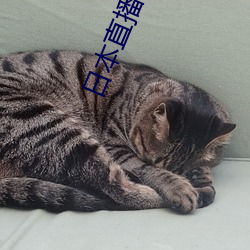 九游会登录j9入口 - 中国官方网站 | 真人游戏第一品牌