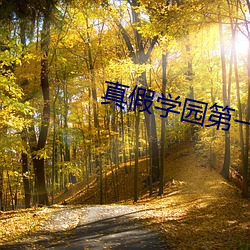 真假学园第一季高清在线观
