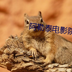 阿勒泰電影院